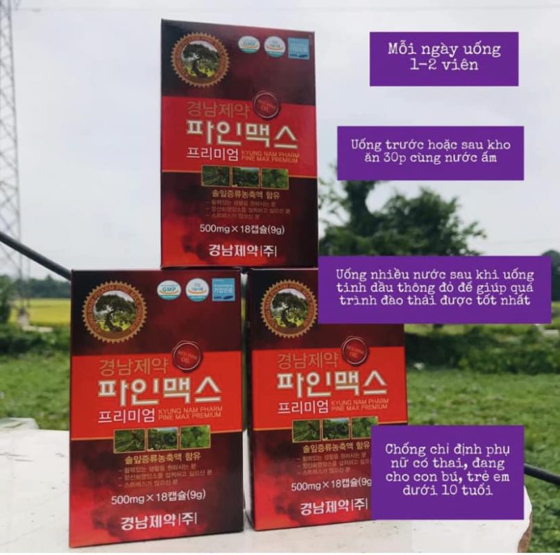 Tinh dầu thông đỏ Kyungnam